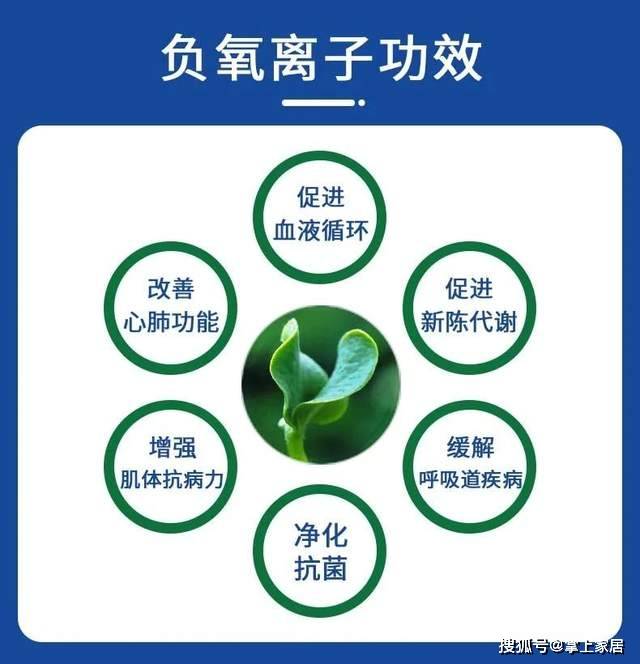 澳门金牛版网址1877-澳门金牛版1877APP最新版下载