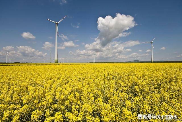 合成有机颜料的发展历程与化学特性概述|大兴颜料